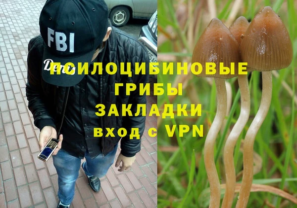 бошки Балахна