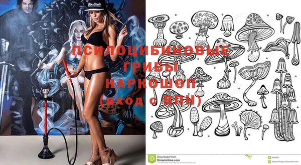 бошки Беломорск