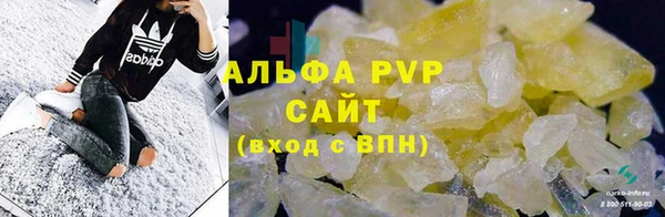крисы Белокуриха
