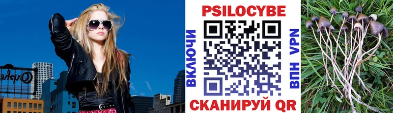 хочу   Вуктыл  Псилоцибиновые грибы мухоморы 